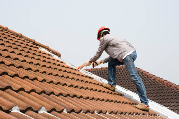 Tusculum, TN  Roofing repair and installation Company