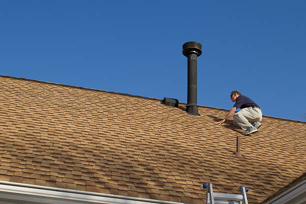 Best Roof Maintenance and Cleaning  in Tusculum, TN